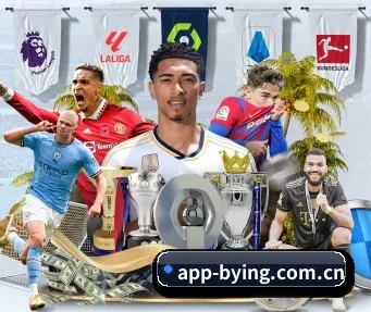 app-bying.com.cn APP